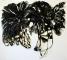 Black dahlias, 2022